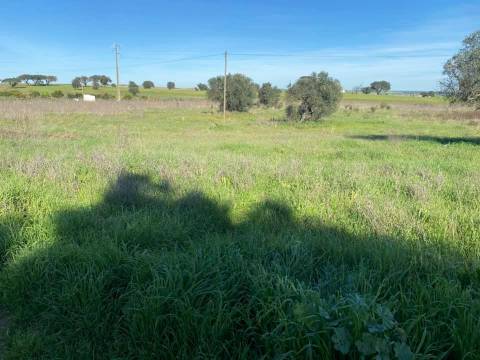 Herdade com 18 Hectares para Venda - próximo à cidade de Beja