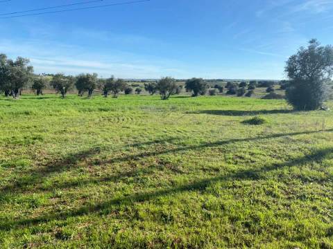 Herdade com 18 Hectares para Venda - próximo à cidade de Beja