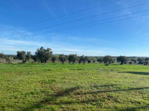 Herdade com 18 Hectares para Venda - próximo à cidade de Beja