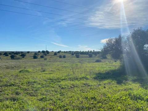 Herdade com 18 Hectares para Venda - próximo à cidade de Beja