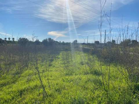 Herdade com 18 Hectares para Venda - próximo à cidade de Beja