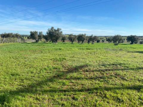 Herdade com 18 Hectares para Venda - próximo à cidade de Beja