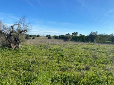 Herdade com 18 Hectares para Venda - próximo à cidade de Beja