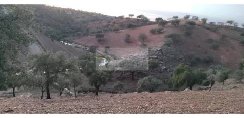 Propriedade rural com área total de 9 hectares - zona de Vila Nova de São Bento