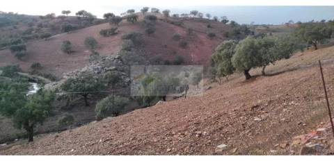 Propriedade rural com área total de 9 hectares - zona de Vila Nova de São Bento