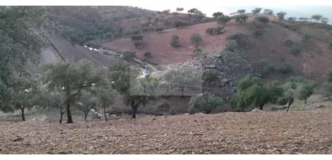 Propriedade rural com área total de 9 hectares - zona de Vila Nova de São Bento