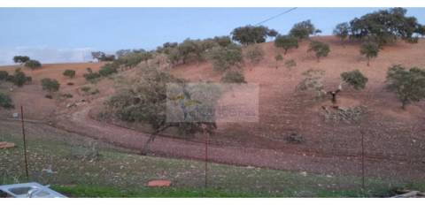 Propriedade rural com área total de 9 hectares - zona de Vila Nova de São Bento