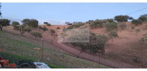 Propriedade rural com área total de 9 hectares - zona de Vila Nova de São Bento