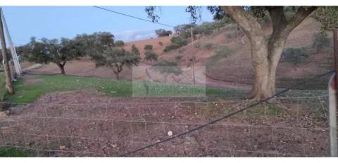 Propriedade rural com área total de 9 hectares - zona de Vila Nova de São Bento