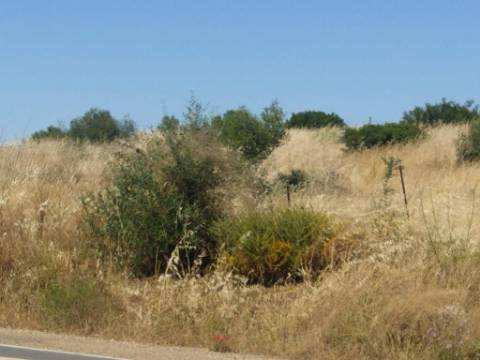 Terreno Rústico com 3,8 Hectares - Potencial para Turismo Rural ou Armazém Agrícola