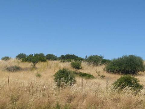 Terreno Rústico com 3,8 Hectares - Potencial para Turismo Rural ou Armazém Agrícola
