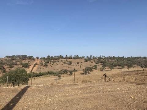 Propriedade de 35 ha - com Monte em Ruínas em Serpa