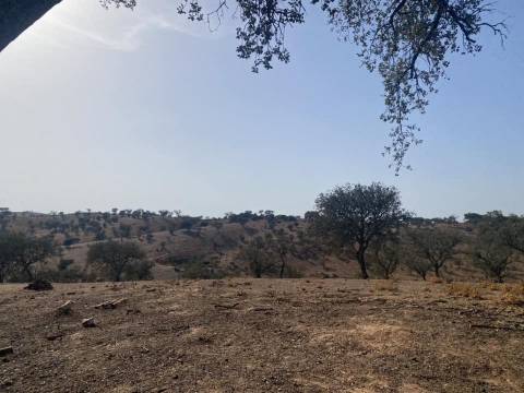 Propriedade de 35 ha - com Monte em Ruínas em Serpa