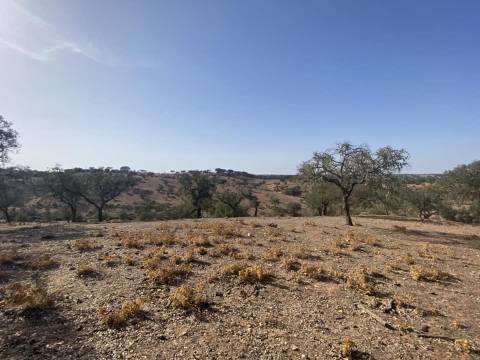 Propriedade de 35 ha - com Monte em Ruínas em Serpa