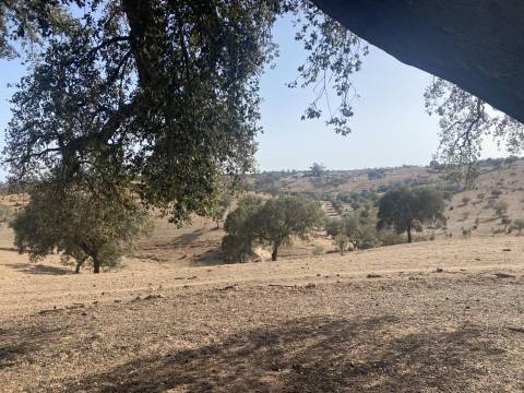 Propriedade de 35 ha - com Monte em Ruínas em Serpa