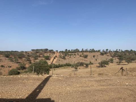 Propriedade de 35 ha - com Monte em Ruínas em Serpa