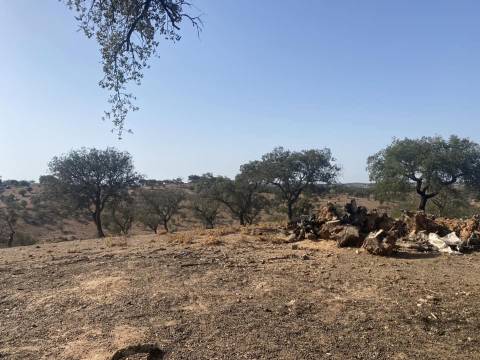 Propriedade de 35 ha - com Monte em Ruínas em Serpa