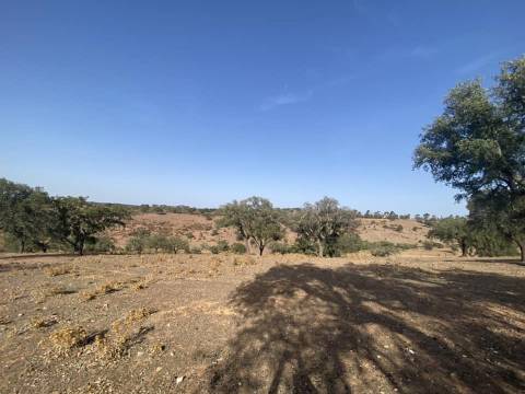 Propriedade de 35 ha - com Monte em Ruínas em Serpa