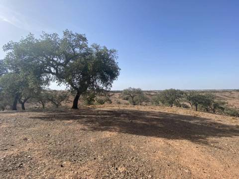 Propriedade de 35 ha - com Monte em Ruínas em Serpa
