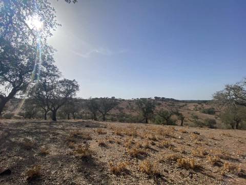 Propriedade de 35 ha - com Monte em Ruínas em Serpa