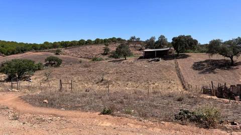 Moradia Rústica na zona de Serpa - 1,5 hectares - 80.000€