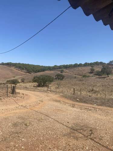 Moradia Rústica na zona de Serpa - 1,5 hectares - 80.000€