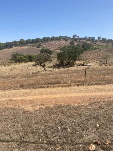 Moradia Rústica na zona de Serpa - 1,5 hectares - 80.000€