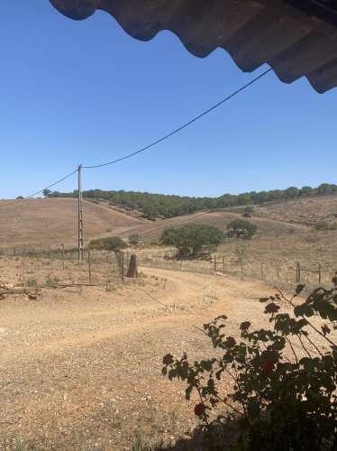 Moradia Rústica na zona de Serpa - 1,5 hectares - 80.000€