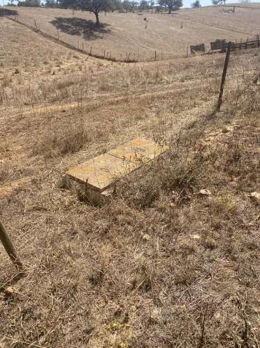 Moradia Rústica na zona de Serpa - 1,5 hectares - 80.000€