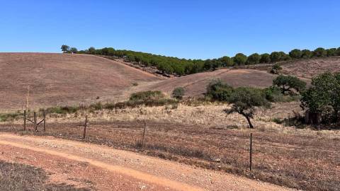 Moradia Rústica na zona de Serpa - 1,5 hectares - 80.000€