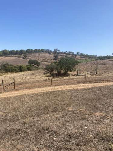 Moradia Rústica na zona de Serpa - 1,5 hectares - 80.000€