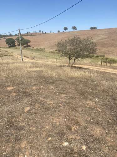 Moradia Rústica na zona de Serpa - 1,5 hectares - 80.000€