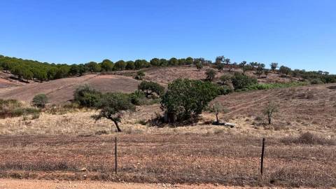 Moradia Rústica na zona de Serpa - 1,5 hectares - 80.000€