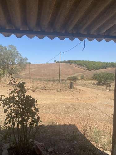 Moradia Rústica na zona de Serpa - 1,5 hectares - 80.000€