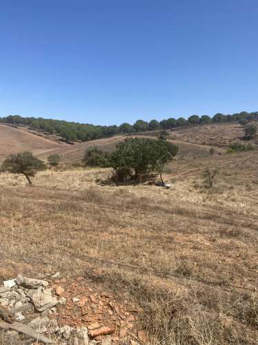 Moradia Rústica na zona de Serpa - 1,5 hectares - 80.000€