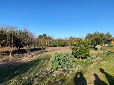 Moradia T3, espaço comercial, e terreno com 0.3375 hectares
