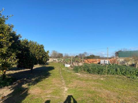 Moradia T3, espaço comercial, e terreno com 0.3375 hectares
