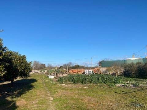 Moradia T3, espaço comercial, e terreno com 0.3375 hectares
