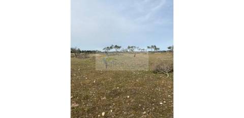 Terreno Agrícola com 5,775 hectares para venda em Vila Nova de São Bento
