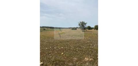 Terreno Agrícola com 5,775 hectares para venda em Vila Nova de São Bento

