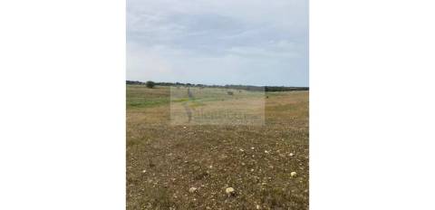 Terreno Agrícola com 5,775 hectares para venda em Vila Nova de São Bento
