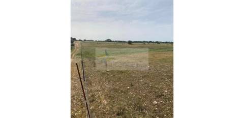 Terreno Agrícola com 5,775 hectares para venda em Vila Nova de São Bento
