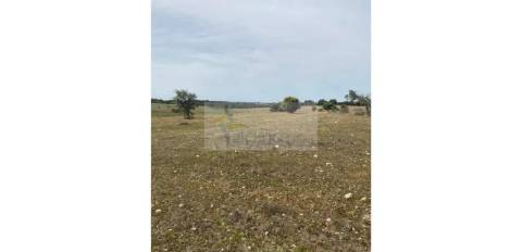 Terreno Agrícola com 5,775 hectares para venda em Vila Nova de São Bento
