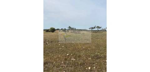 Terreno Agrícola com 5,775 hectares para venda em Vila Nova de São Bento
