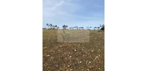 Terreno Agrícola com 5,775 hectares para venda em Vila Nova de São Bento
