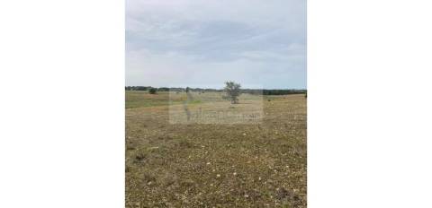 Terreno Agrícola com 5,775 hectares para venda em Vila Nova de São Bento
