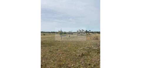 Terreno Agrícola com 5,775 hectares para venda em Vila Nova de São Bento
