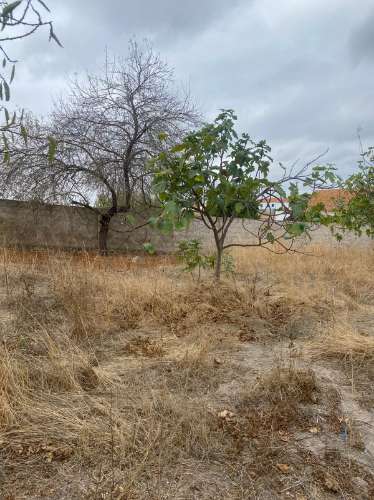 Vivenda em Vale de Vargo