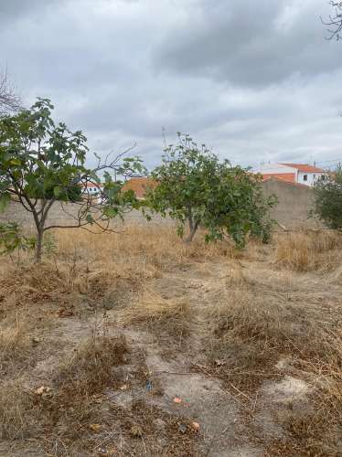 Vivenda em Vale de Vargo