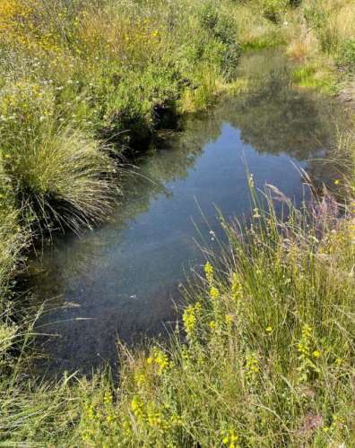 Herdade com 154 hectares em Reguengos de Monsaraz I FORTE POTENCIAL DE RENTABILIDADE